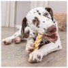 Trixie Cão Snack Escalpe de Búfalo Liofilizado 200gr