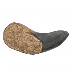 Trixie Cão Snack Corno de Búfalo recheado com nervo e tendão (TX27751)