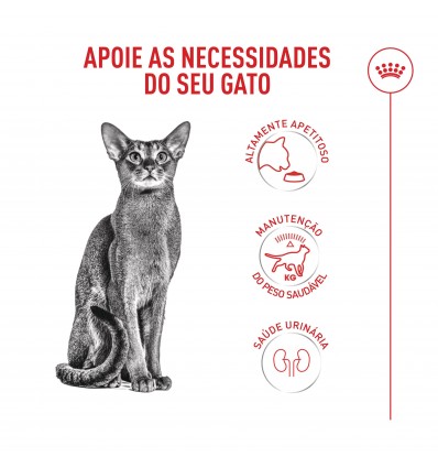 Royal Canin Fussy Exigent, Gato, Seco, Adulto, Alimento/Ração