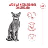 Royal Canin Fussy Exigent, Gato, Seco, Adulto, Alimento/Ração