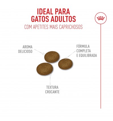 Royal Canin Fussy Exigent, Gato, Seco, Adulto, Alimento/Ração