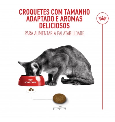 Royal Canin Fussy Exigent, Gato, Seco, Adulto, Alimento/Ração