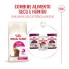 Royal Canin Fussy Exigent, Gato, Seco, Adulto, Alimento/Ração