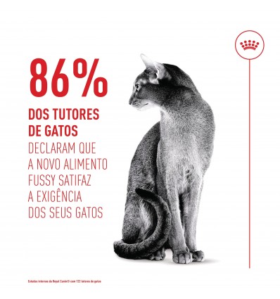 Royal Canin Fussy Exigent, Gato, Seco, Adulto, Alimento/Ração
