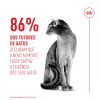 Royal Canin Fussy Exigent, Gato, Seco, Adulto, Alimento/Ração