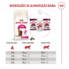 Royal Canin Fussy Exigent, Gato, Seco, Adulto, Alimento/Ração