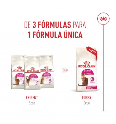 Royal Canin Fussy Exigent, Gato, Seco, Adulto, Alimento/Ração