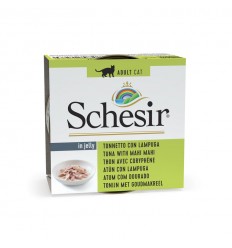 Schesir Gato Húmidos in jelly Atum com Lampuga