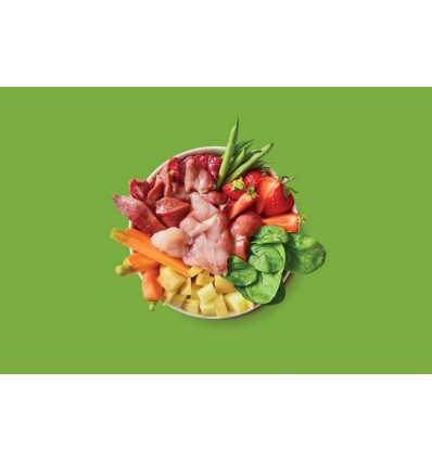 Lily´s Kitchen Gato Húmidos Salmão e Frango com Camarão (Smooth Paté)