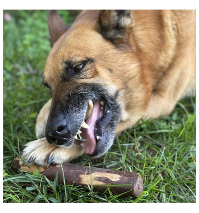 MY DOG CHEWZ Cão Snack Pau de Oliveira - Tamanho S