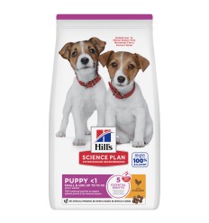 Hill's Science Plan Cão Puppy Small e Mini Frango
