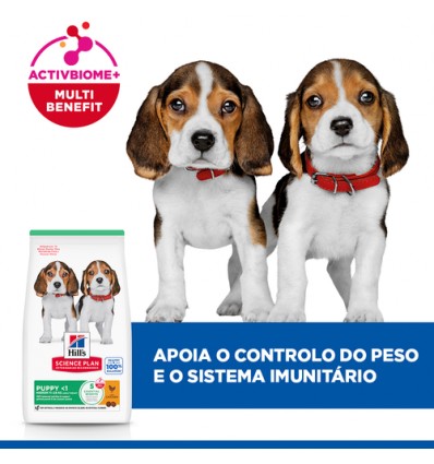 Hill's Science Plan Puppy Medium 12kg