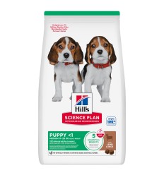 Hill's Science Plan Cão Puppy Medium Borrego