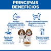 Hill's Science Plan Cão Puppy Medium Borrego