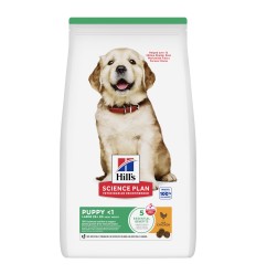 Hill's Science Plan Cão Puppy Large Breed Frango