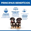 Hill's Science Plan Cão Puppy Perfect Digestion Medium Frango