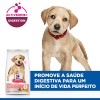 Hill's Science Plan Cão Puppy Perfect Digestion Large Breed Frango