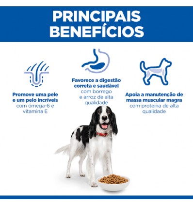 Hill's Science Plan Canine Medium Adult Borrego 12kg