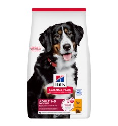 Hill's Science Plan Cão Adulto Large Breed Frango