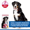 Hill's Science Plan Canine Adult Large Breed 18kg