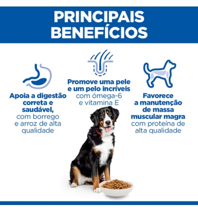 Hill's Science Plan Canine Adult Large Breed 18kg