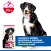 Hill's Science Plan Canine Adult Large Breed 18kg