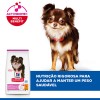 Hill's Science Plan Cão Adulto Light Small e Mini Frango