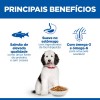 Hill's Science Plan Cão Adulto Hypoallergenic Large Breed Salmão