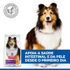 Hill's Science Plan Canine Adult Sensitive Stomach e Skin Frango 12kg
