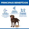 Hill's Science Plan Cão Adulto Healthy Mobility Large Breed Frango