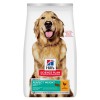 Hill's Science Plan Canine Large Breed Perfect Weight 12kg 
