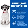 Hill's Science Plan Cão Adult Perfect Weight & Active Mobility Small e Mini