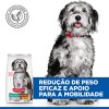 Hill's Science Plan Cão Adult Perfect Weight & Active Mobility Medium