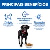 Hill's Science Plan Cão Adult Perfect Weight & Active Mobility Large Breed