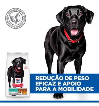 Hill's Science Plan Cão Adult Perfect Weight & Active Mobility Large Breed