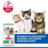 Hill´s Science Plan Feline Kitten Chicken 2kg