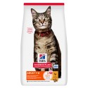 Hill's Science Plan Gato Adult Frango