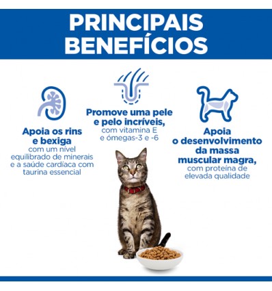 Hill´s Science Plan Feline Adult Chicken 10kg 