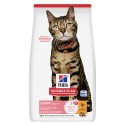 Hill's Science Plan Gato Adult Light Frango
