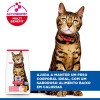 Hill's Science Plan Gato Adult Light Frango