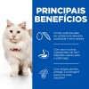 Hill's Science Plan Gato Adult Hypoallergenic com Ovo e Inseto