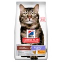 Hill's Science Plan Gato Adult Hairball & Perfect Coat Frango