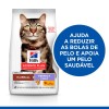 Hill's Science Plan Gato Adult Hairball & Perfect Coat Frango