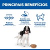 Hill's Science Plan Cão Húmidos Adulto Perú