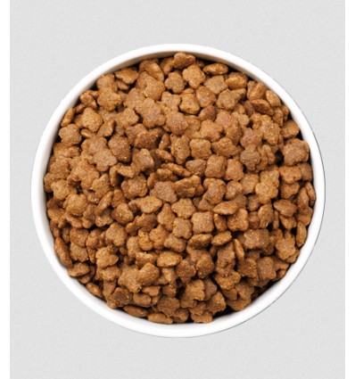 Ownat Gato ULTRA Young