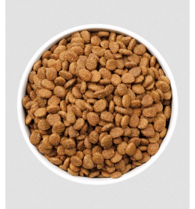 Ownat Gato ULTRA Young Sterilised