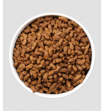 Ownat Gato ULTRA Young Sterilised Fish