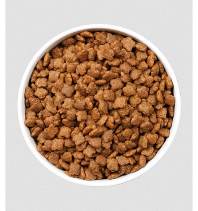 Ownat Gato ULTRA Mature