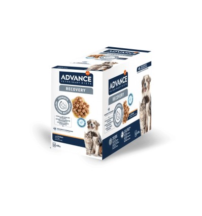 Advance Cão e Gato Húmidos Recovery