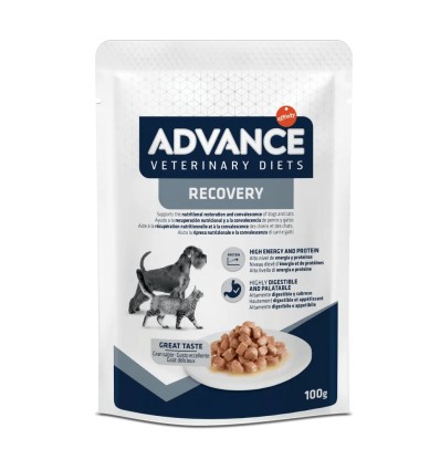Advance Cão e Gato Húmidos Recovery